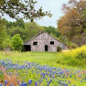 Meet your Posher, Jacqueline miller